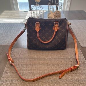 Louis Vuitton Speedy 25 Bag